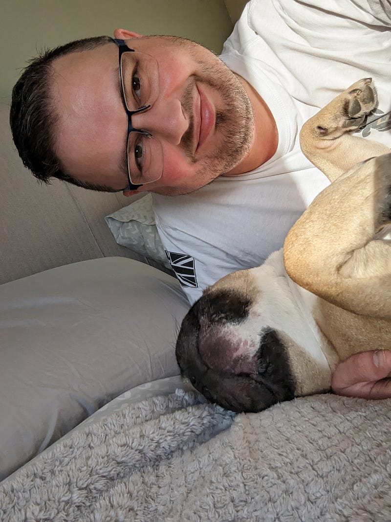 Virtual Pet Therapy #7