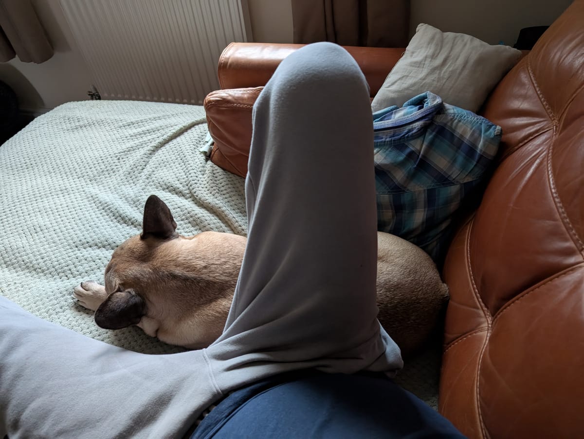 Virtual Pet Therapy #15