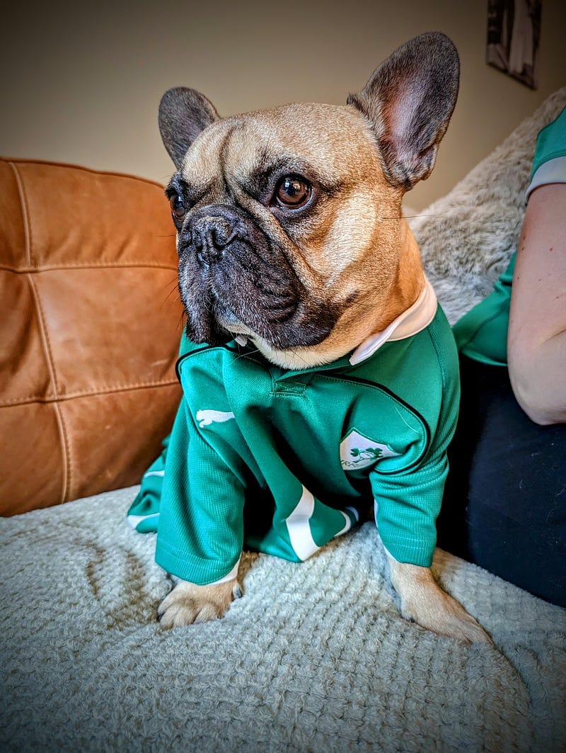 Happy Birthday to #MyPebble