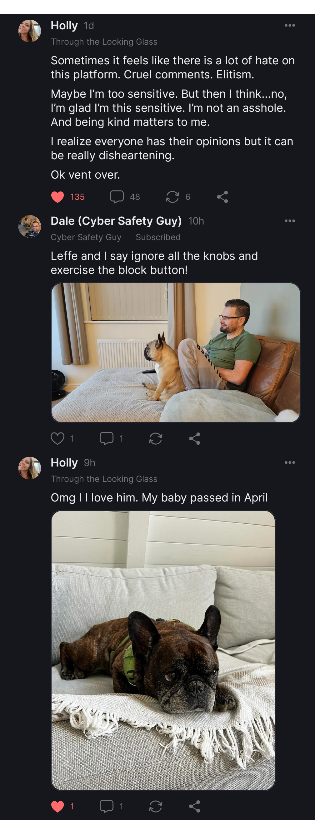 Virtual Pet Therapy #9