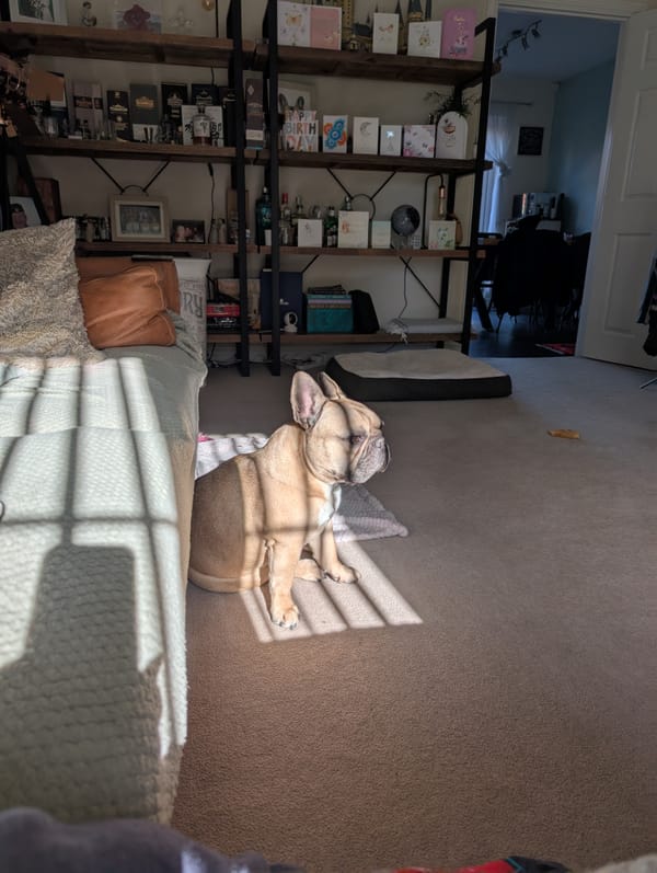 Virtual Pet Therapy #13