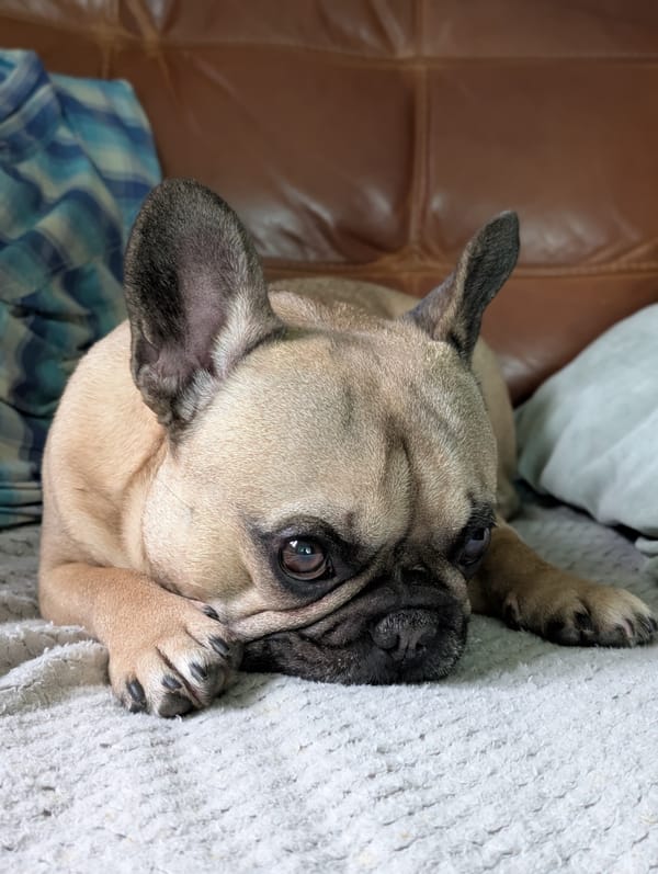 Want to Support A Great Cause? (And Get Absolutely Nothing Else?)