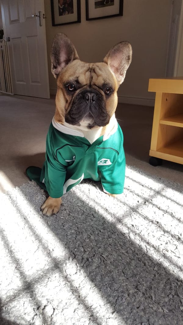 Virtual Pet Therapy #16