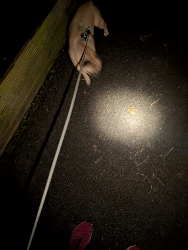 Virtual Pet Therapy #12