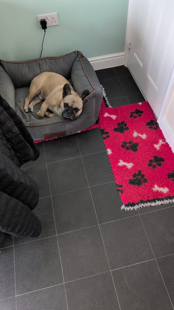 Virtual Pet Therapy #21