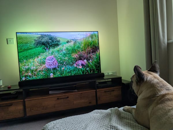 Virtual Pet Therapy #26