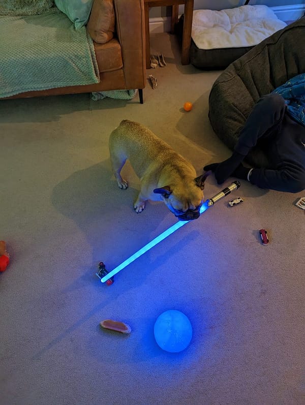 Virtual Pet Therapy #8